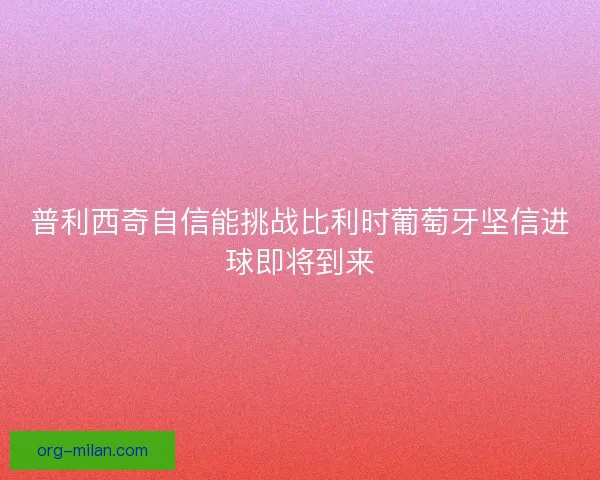普利西奇自信能挑战比利时葡萄牙坚信进球即将到来 普利西奇自信能挑战比利时葡萄牙坚信进球即将到来
